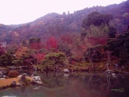 Kızıl Yaprak Avı, Kyoto’da Sonbahar