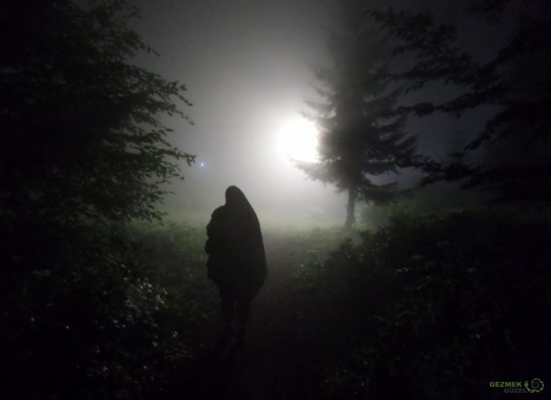 Aybastı Kent Ormanında Gece