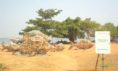 Fish Cemetery, Cochin