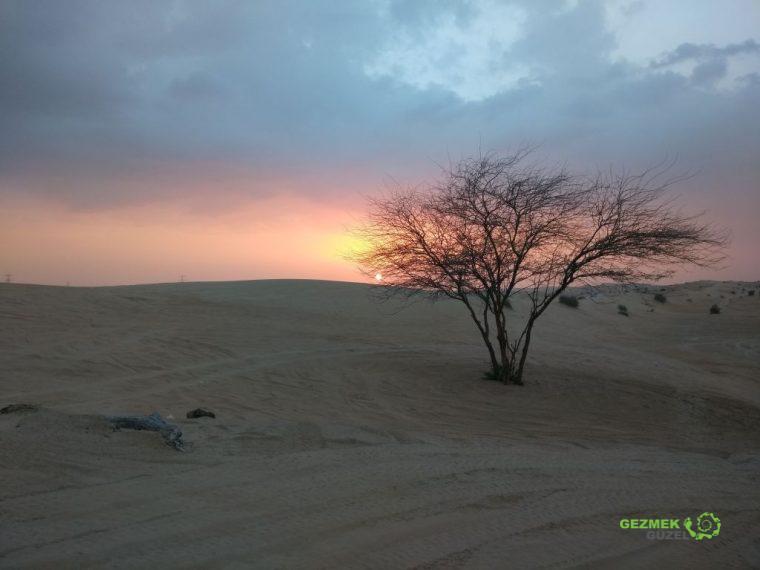 Çölde günbatımı, Dubai Çöl Safarisi