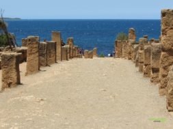 Antik Roma Harabeleri – Cezayir Rehberi