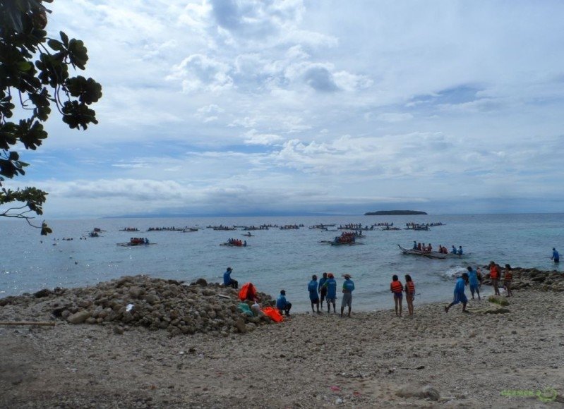 Balina Köpekbalıkları kıyıdan, Balina Köpekbalığı Dalışı, Filipinler Gezisi Notları