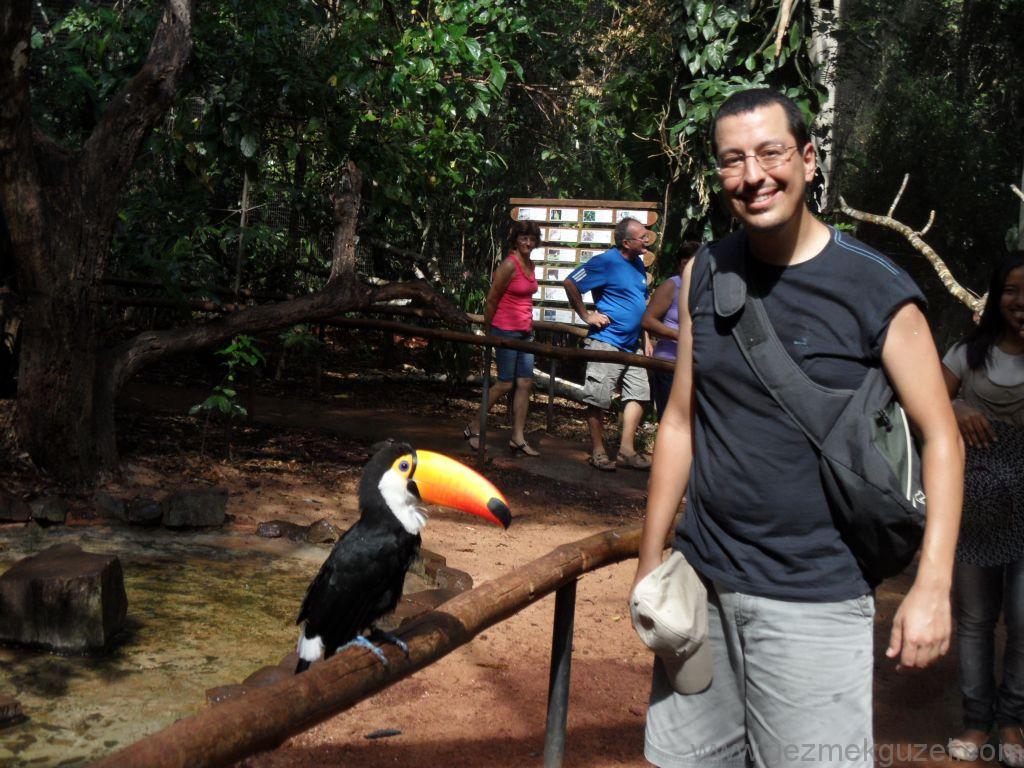 Foz do Iguaçu Kuş Parkı, Iguazu Şelaleleri, Brezilya Gezisi Notları