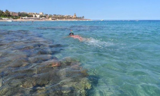 FrontHurghadaResiflerindeSnorkel