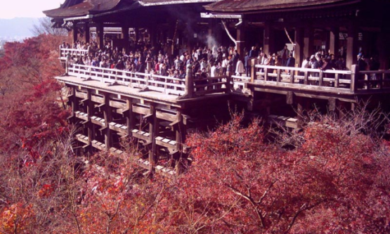 Kyotonun Tapınakları