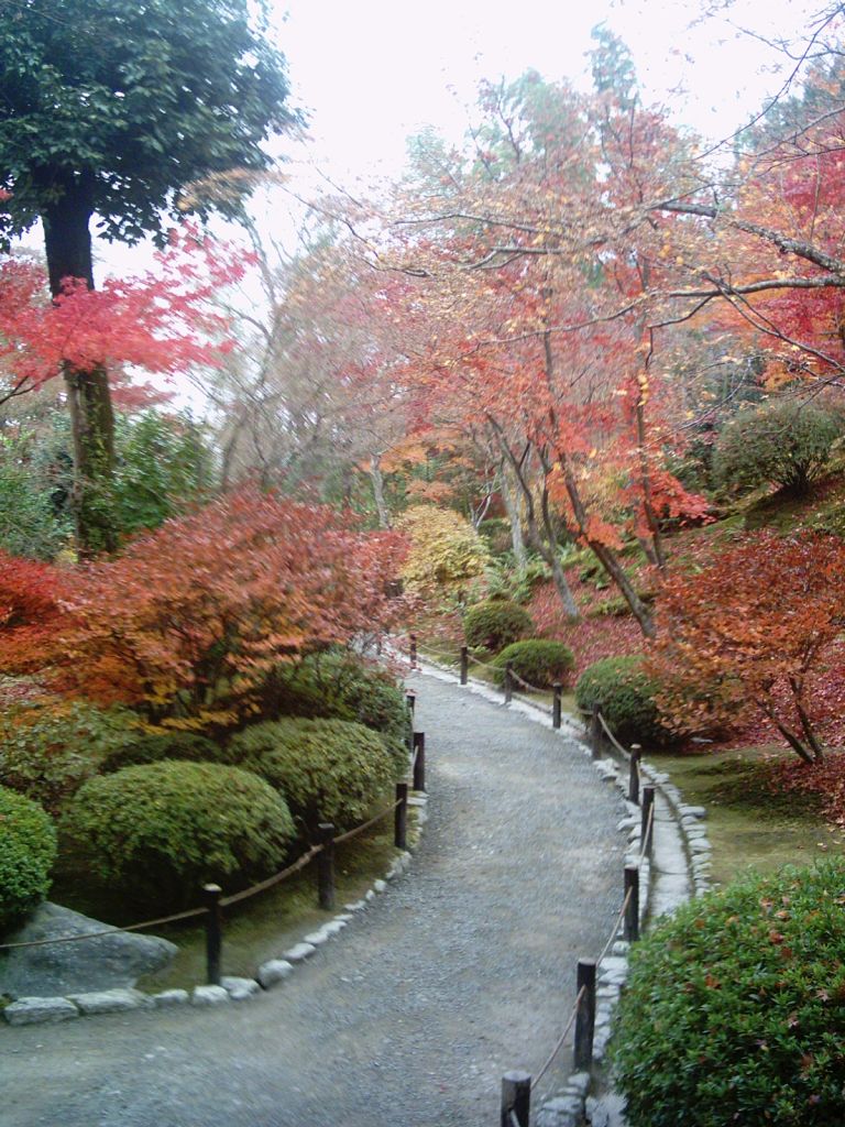 Japon bahçesinden