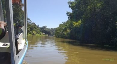 Tortuguero Kanalı, Costa Rika
