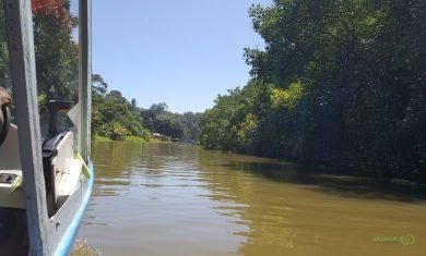 Tortuguero Kanalı, Costa Rika