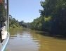 Tortuguero Kanalı, Costa Rika