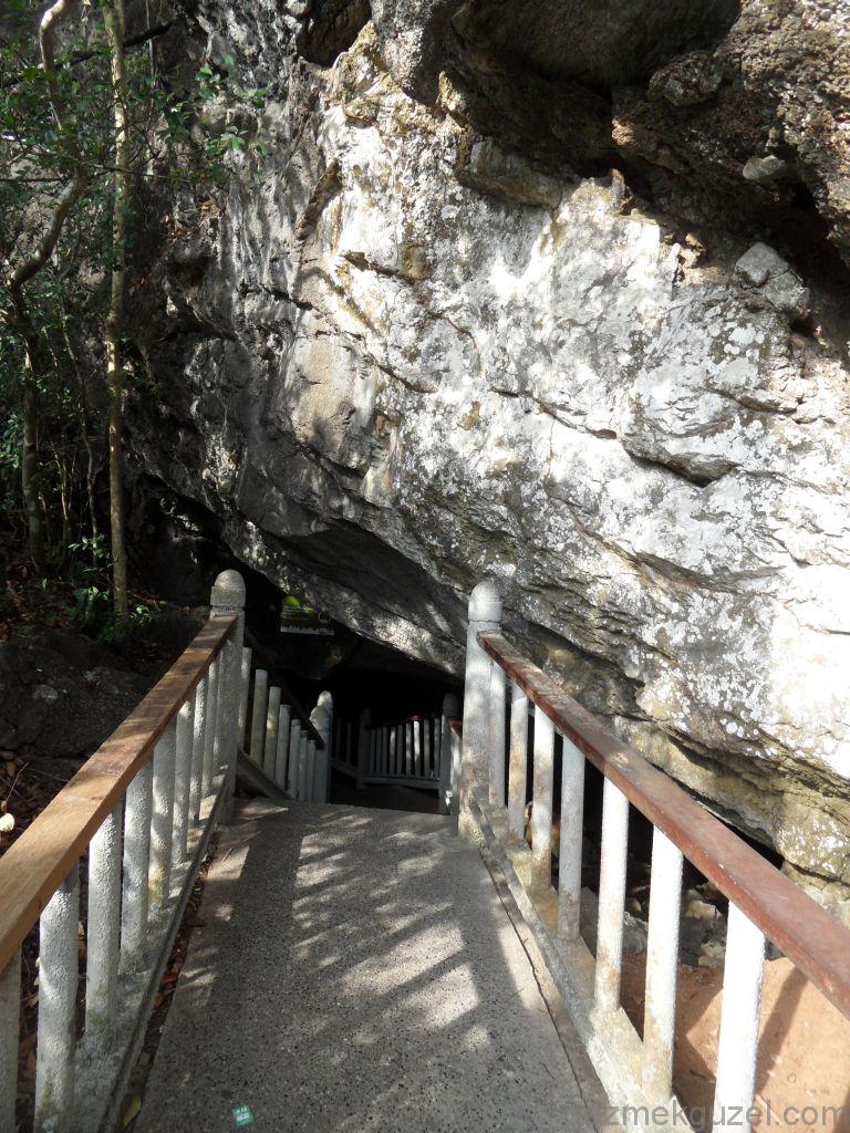 Yarasa Mağarası, Langkawi Görülecek Yerler, Malezya Gezisi Notları
