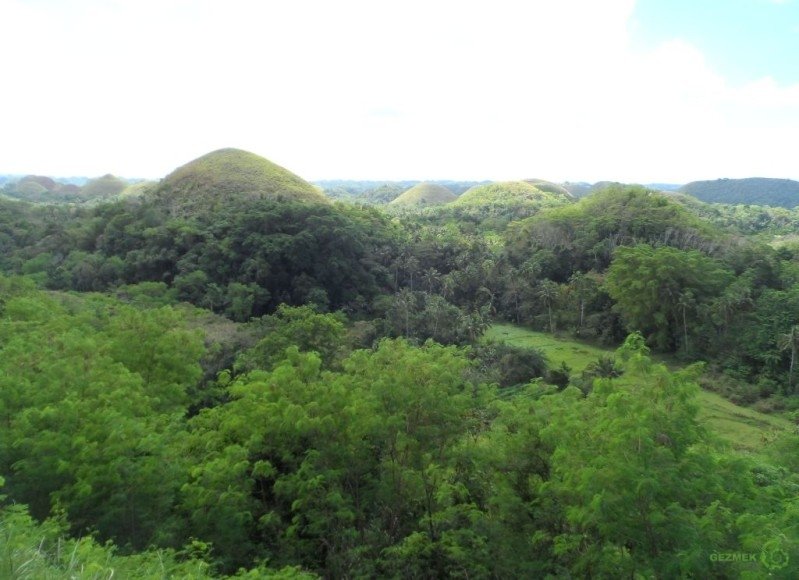 Çikolata Tepeleri Choclate Hills, Bohol adası turu